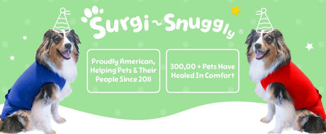 SurgiSnuggly Traje Quirúrgico para Perros, Cono Alternativo, SL