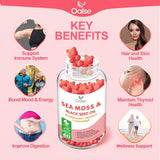 Gominolas de Sea Moss con Vitaminas, 8 en 1, 1 paquete