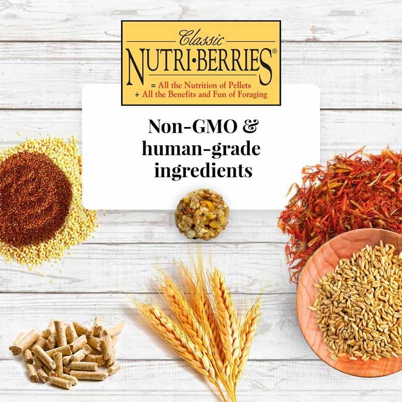 Alimentos para guacamayo cacatúa 3.5 lb