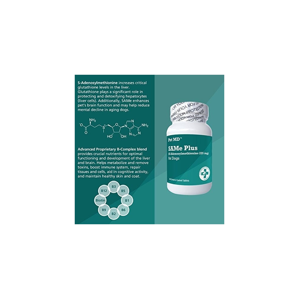Suplementos para perros y gatos Same Plus S-adenosyl