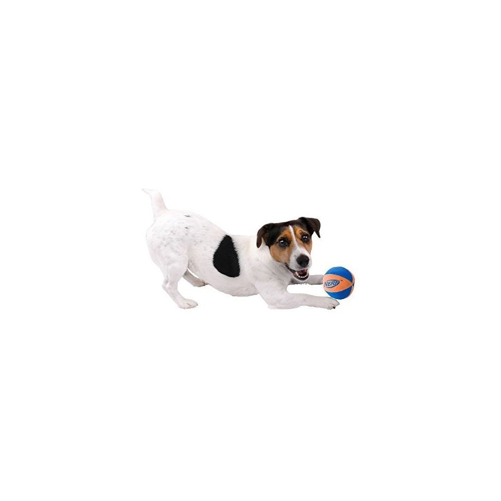 Pelota para perro