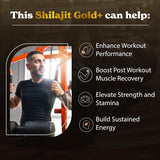 Pure Himalayan Shilajit Gold+ | Mejora recuperación y fuerza | 30g, Lab probado