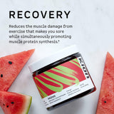 Suplementos Alimenticios de aminoácidos esenciales
