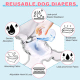 XPCARE Paquete de 6 pañales lavables para perras (S)
