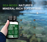 16-en-1 Gel de Musgo de Mar Orgánico Cápsulas, Superalimento