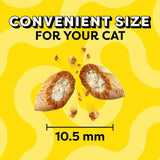 Golosinas crujientes y suaves para gatos sabor al aire libre