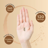 Suplemento de Ashwagandha NatureBell, 12,500 mg, 240 cápsulas