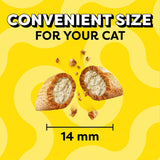 Bocadillos crujientes y suaves para gato, sabor pollo