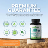 Suplemento  Riboflavina de vitamina B2 sistema nervioso 90u