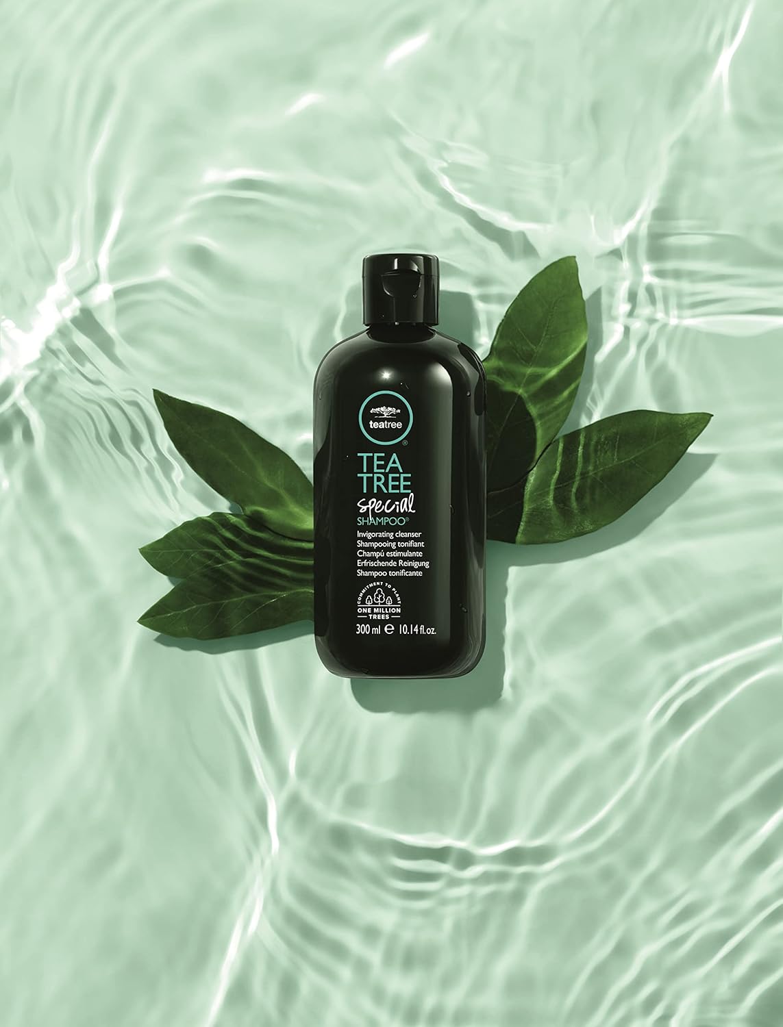 Shampoos y Acondicionadores limpieza profunda