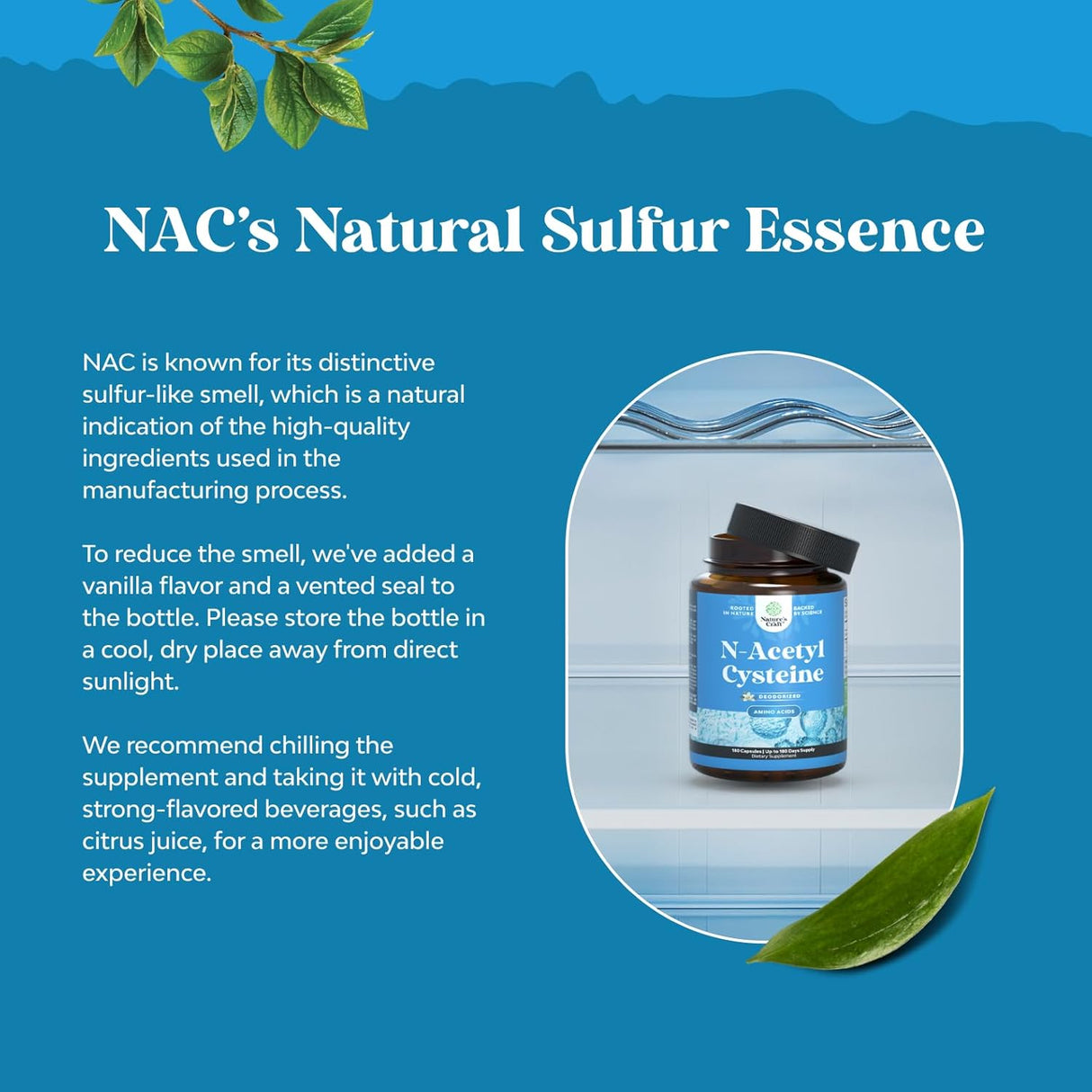 NAC Suplemento N-Acetil Cisteína 1000mg Vegan 2 Meses