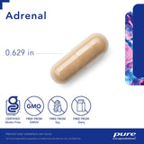 Suplementos Alimenticios para apoyar función de la glándula