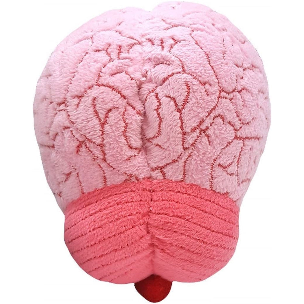 Peluche de órgano cerebral adorable regalo de biología