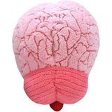Peluche de órgano cerebral adorable regalo de biología