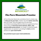 Cápsulas de Ashwagandha - Pure Mountain - 90 Veganas 475mg