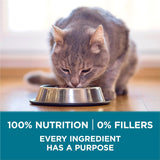 Purina ONE Alimento seco natural para gatos, mezcla con pollo real, bolsa de 22 libras