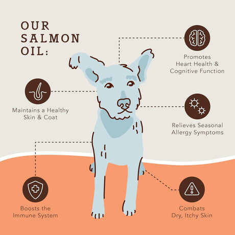 Vitaminas  Suplemento de piel y pelaje para perros