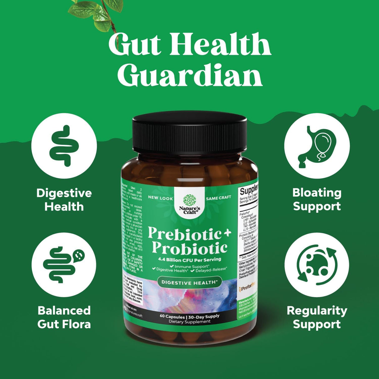 Suplemento de prebióticos y probióticos  salud intestinal