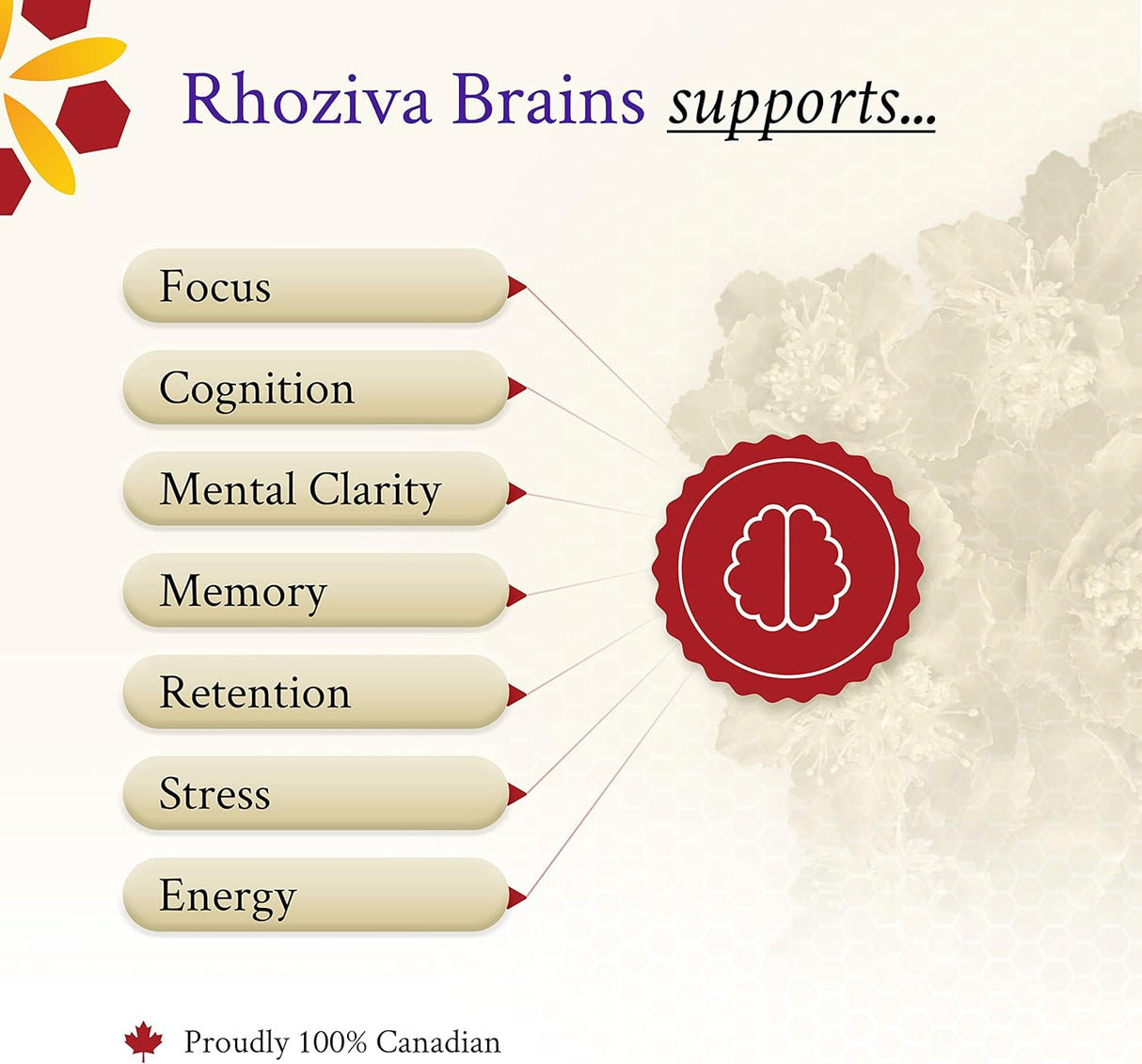 Suplemento Rhoziva  cerebral Memoria enfoque salud cognitiva