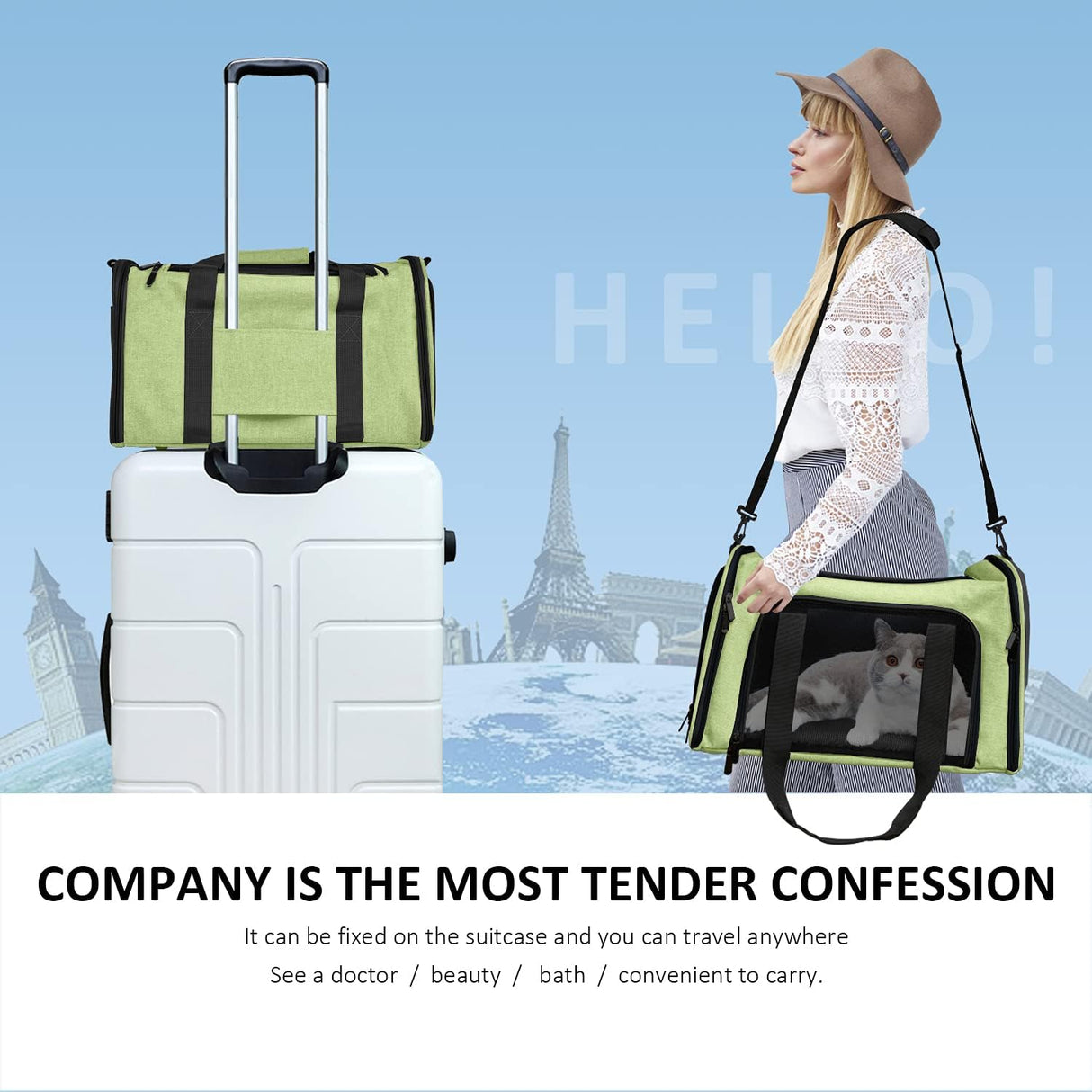 Transportín Grande Henkelion para Gatos y Perros hasta 25 lbs