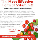 Vitamina C Orgánica de Frutas con Cofactores de Absorción