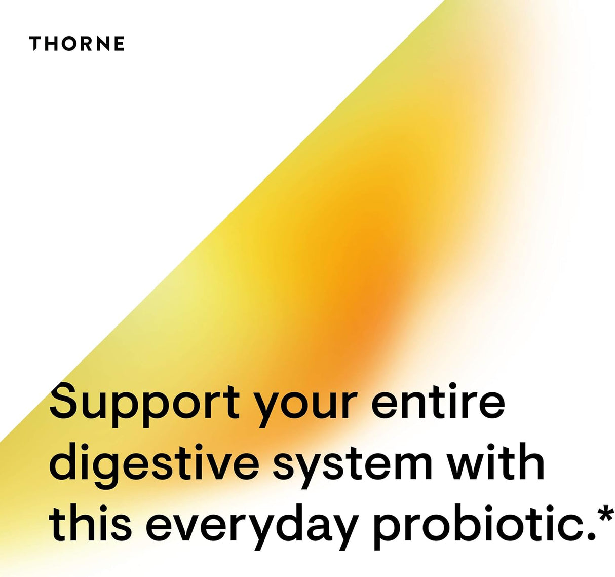 Suplementos Thorne Bacillus Coagulans Probiótico 60 cápsulas