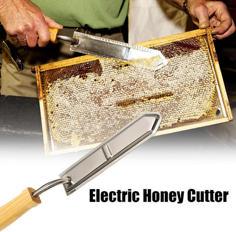Cuchillo desoperculado eléctrico de acero inoxidable - Beekeeping