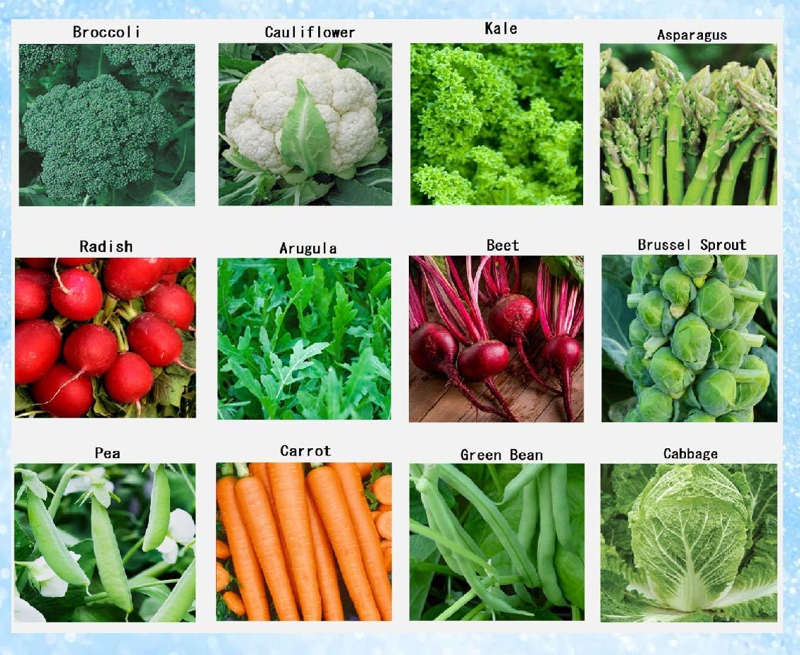 Semillas de Verduras de Invierno Orgánicas - 12 Variedades