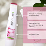 Shampoos y Acondicionadores Ayuda a proteger el cabello