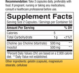 Suplementos Colina e inositol salud cerebral energía celular