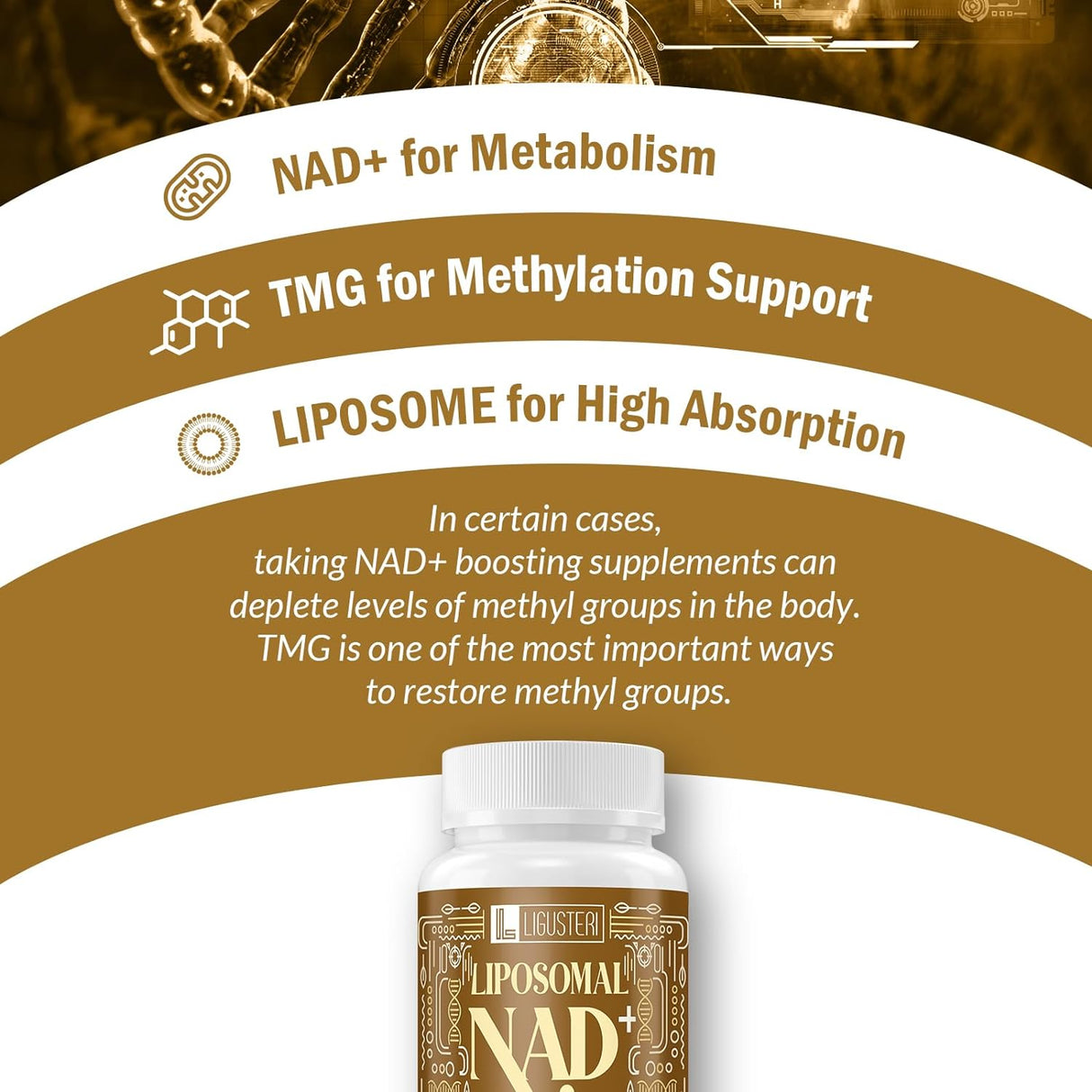 Suplemento Liposomal NAD+ con TMG, Defensa Antienvejecimiento