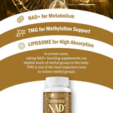 Suplemento Liposomal NAD+ con TMG, Defensa Antienvejecimiento