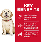 Alimento para Perros seco para razas grandes