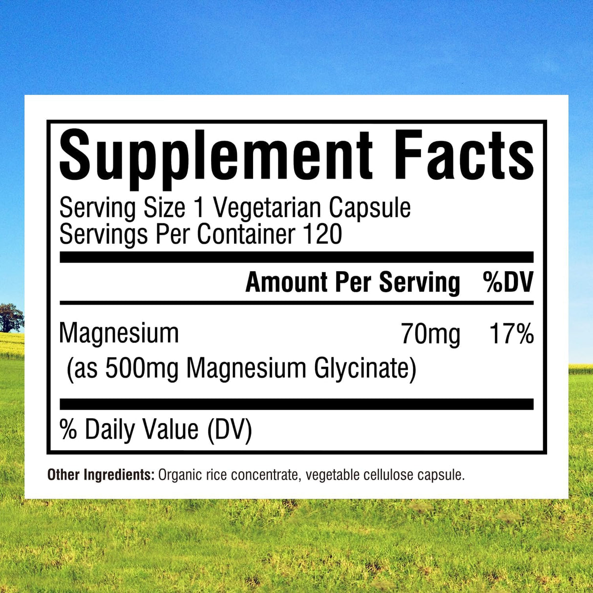 Glicinato de Magnesio 500 mg, 240 Cápsulas Vegetarianas