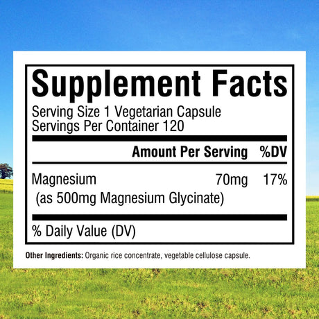 Glicinato de Magnesio 500 mg, 240 Cápsulas Vegetarianas
