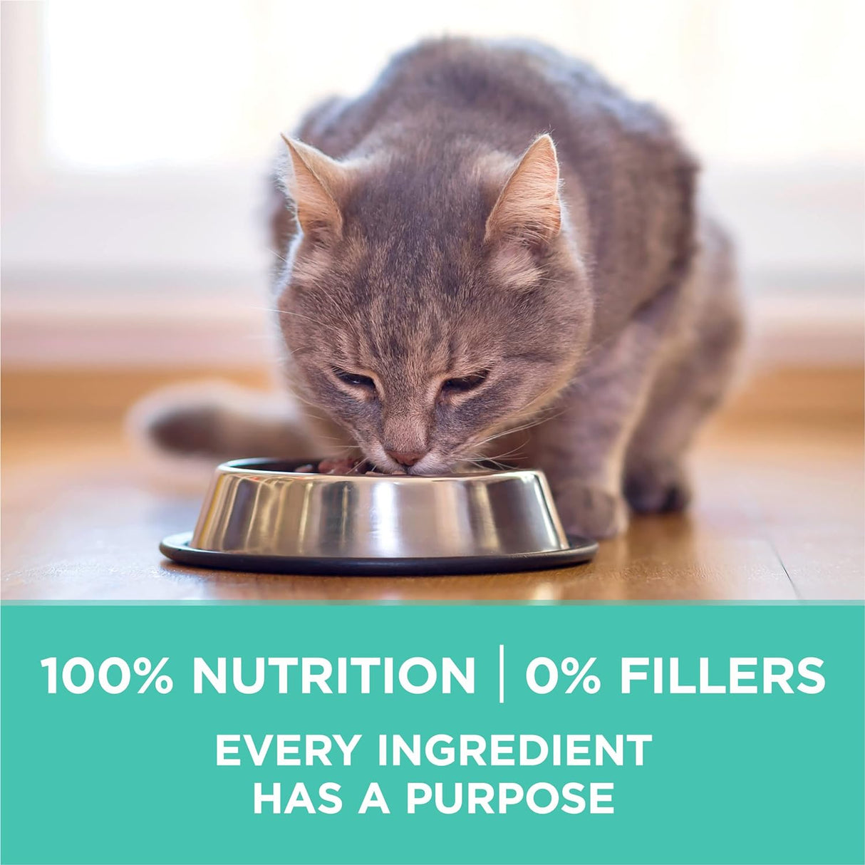 Alimento para gato adulto Purina One