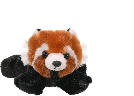 Peluche de panda rojo, regalo para niño