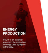 Suplementos Alimenticios Soporte cardiovascular