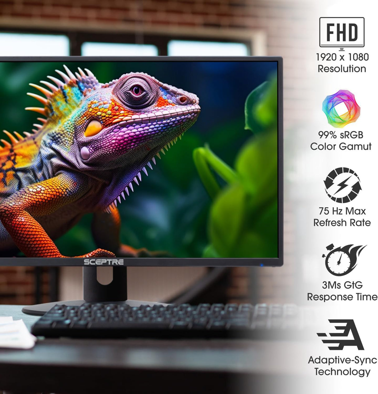 Monitor LED 24 Sceptre 1080p, 99% sRGB, 2x HDMI, E248W-19203R