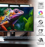Monitor LED 24 Sceptre 1080p, 99% sRGB, 2x HDMI, E248W-19203R