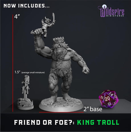 Miniaturas de Héroes y Compañeros Animales para D&D 28-32mm