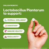 Suplemento probiótico Lactobacillus Plantarum 240 tabletas