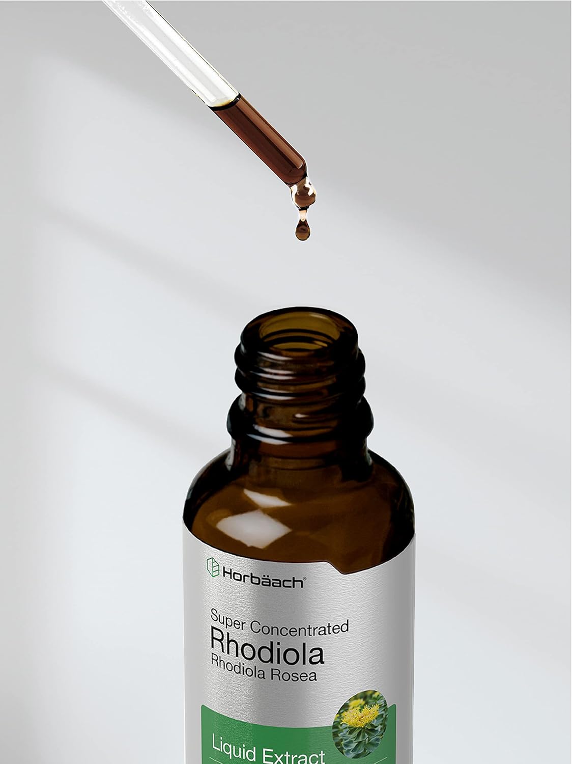 Suplemento Tintura raíz de rodiola rosea 2 oz sin gluten