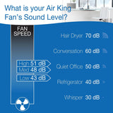Ventilador de Pared Oscilante 18 Air King 9018 Grado Comercial