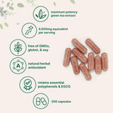 Extracto de Té Verde EGCG 9000mg, 300 cápsulas, Potencia Máxima