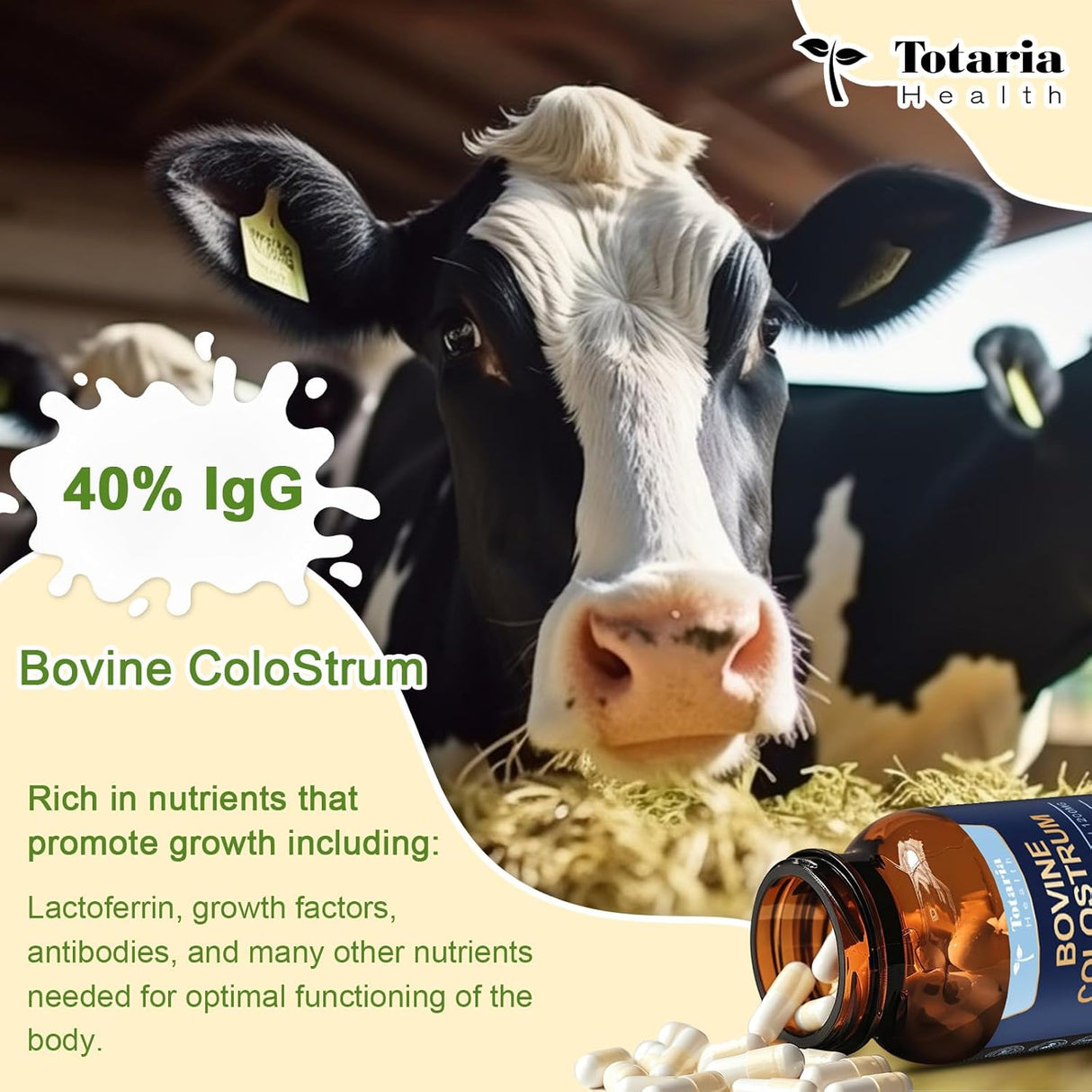 Suplemento de Calostro Bovino Orgánico 1200mg - 120 cápsulas