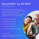Suplementos Alimenticios potenciador envejecimiento