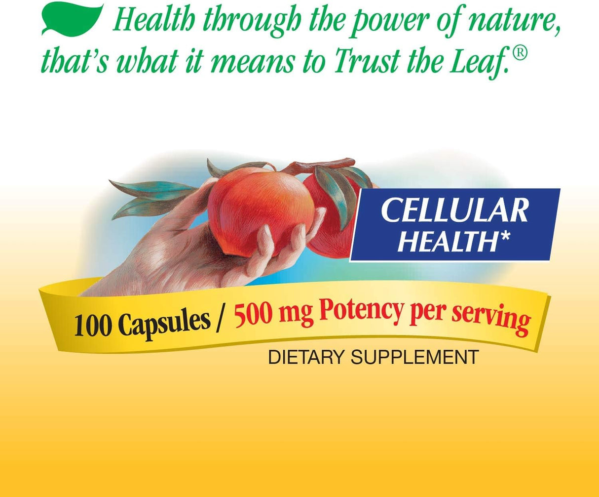 Suplementos Colina e inositol salud cerebral energía celular