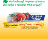 Suplementos Colina e inositol salud cerebral energía celular