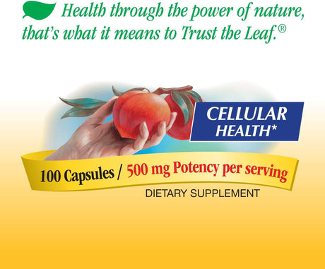 Suplementos Colina e inositol salud cerebral energía celular